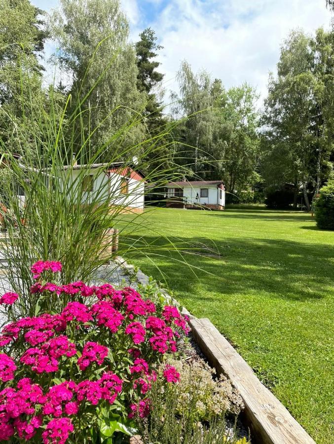 Retro Chatky Hurka Lipno Horní Planá エクステリア 写真